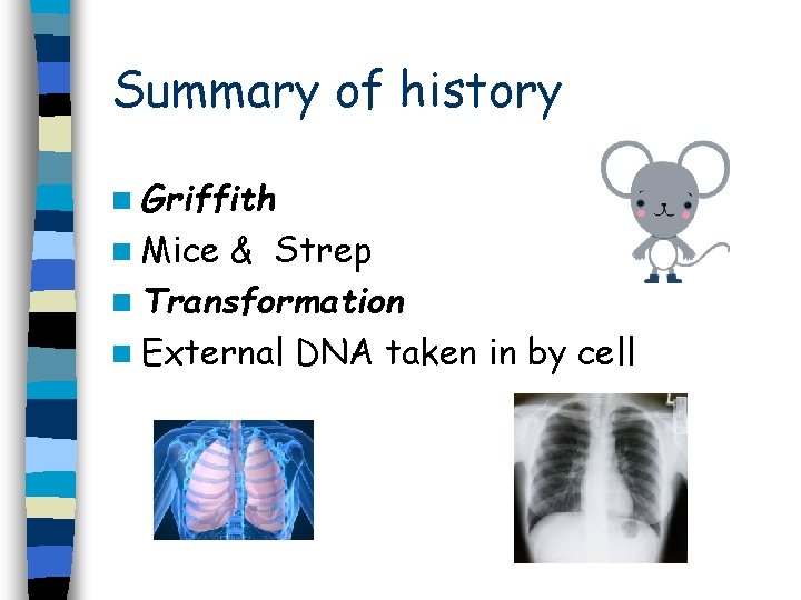 Summary of history n Griffith n Mice & Strep n Transformation n External DNA Summary of history n Griffith n Mice & Strep n Transformation n External DNA