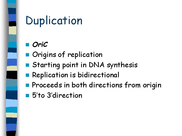 Duplication n n n Ori. C Origins of replication Starting point in DNA synthesis Duplication n n n Ori. C Origins of replication Starting point in DNA synthesis