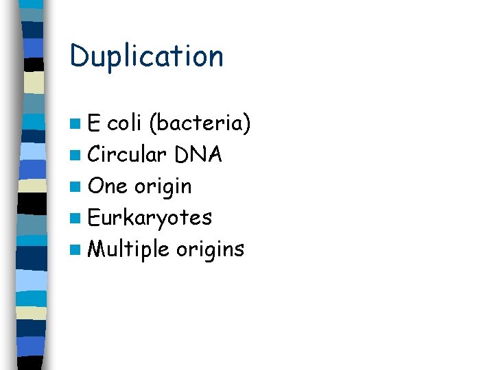 Duplication n. E coli (bacteria) n Circular DNA n One origin n Eurkaryotes n Duplication n. E coli (bacteria) n Circular DNA n One origin n Eurkaryotes n