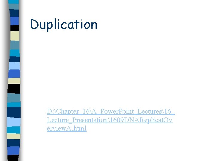 Duplication D: Chapter_16A_Power. Point_Lectures16_ Lecture_Presentation1609 DNAReplicat. Ov erview. A. html Duplication D: Chapter_16A_Power. Point_Lectures16_ Lecture_Presentation1609 DNAReplicat. Ov erview. A. html