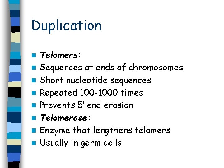 Duplication n n n n Telomers: Sequences at ends of chromosomes Short nucleotide sequences Duplication n n n n Telomers: Sequences at ends of chromosomes Short nucleotide sequences