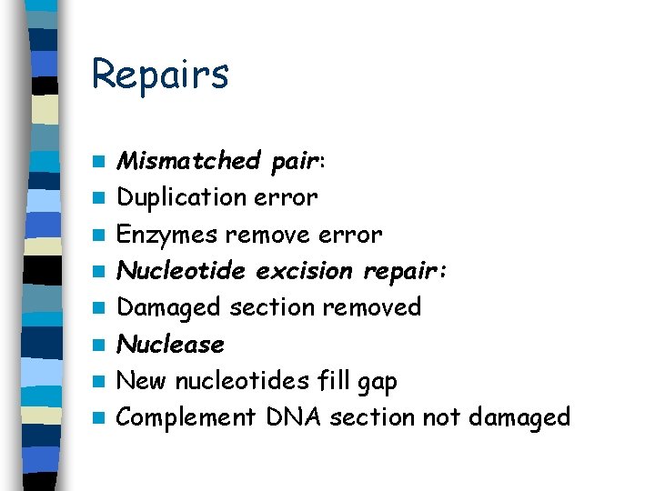 Repairs n n n n Mismatched pair: Duplication error Enzymes remove error Nucleotide excision Repairs n n n n Mismatched pair: Duplication error Enzymes remove error Nucleotide excision