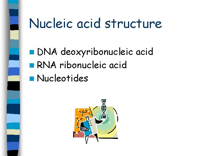 Nucleic acid structure n DNA deoxyribonucleic acid n RNA ribonucleic acid n Nucleotides Nucleic acid structure n DNA deoxyribonucleic acid n RNA ribonucleic acid n Nucleotides