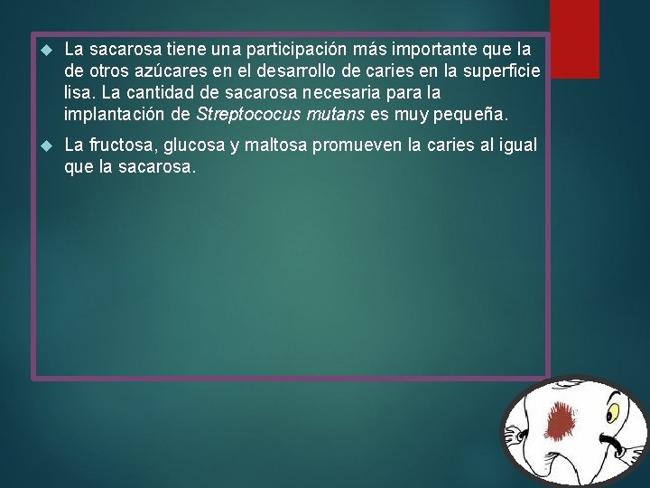  La sacarosa tiene una participación más importante que la de otros azúcares en
