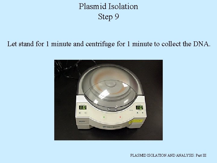 Plasmid Isolation Step 9 Let stand for 1 minute and centrifuge for 1 minute
