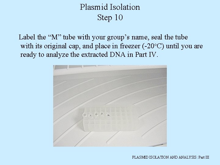 Plasmid Isolation Step 10 Label the “M” tube with your group’s name, seal the