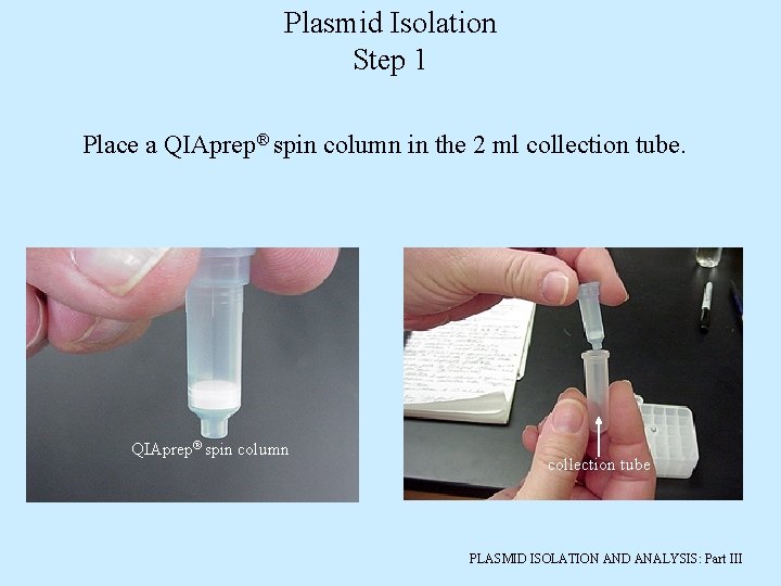 Plasmid Isolation Step 1 Place a QIAprep® spin column in the 2 ml collection