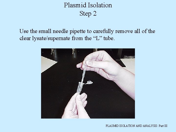 Plasmid Isolation Step 2 Use the small needle pipette to carefully remove all of