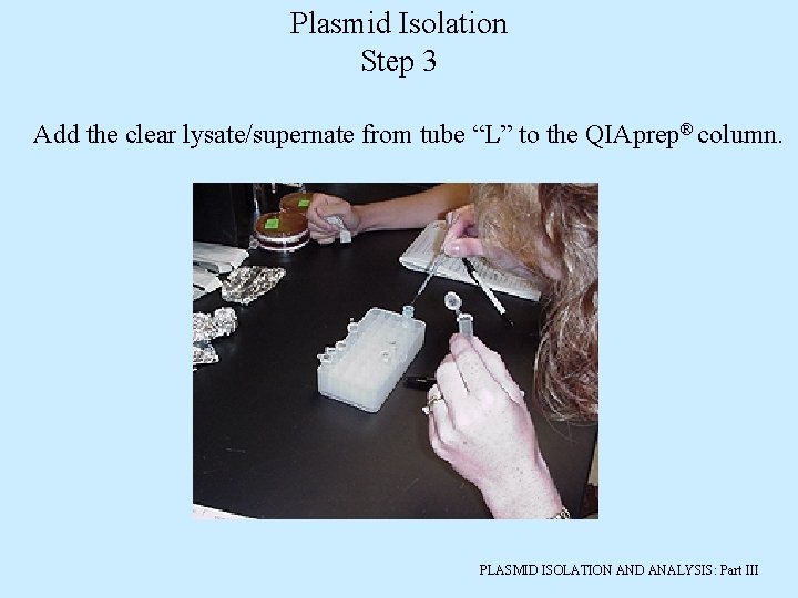 Plasmid Isolation Step 3 Add the clear lysate/supernate from tube “L” to the QIAprep®