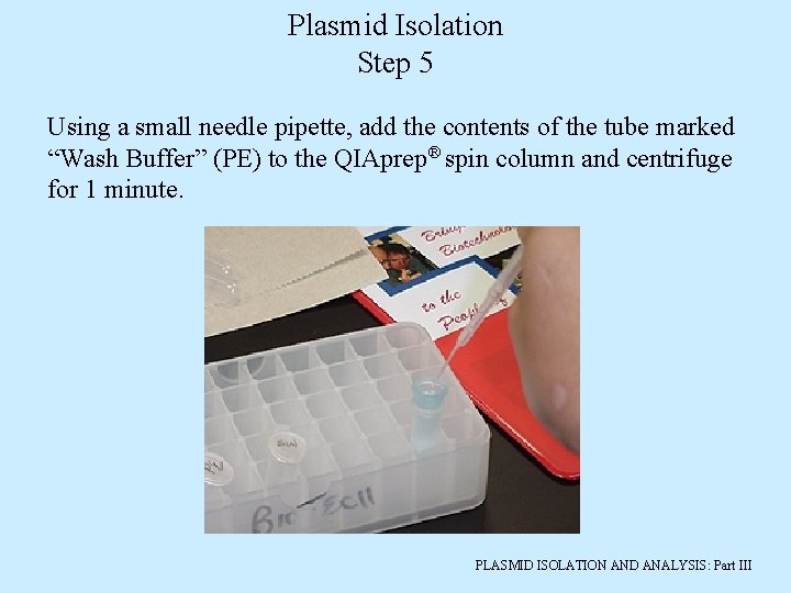 Plasmid Isolation Step 5 Using a small needle pipette, add the contents of the