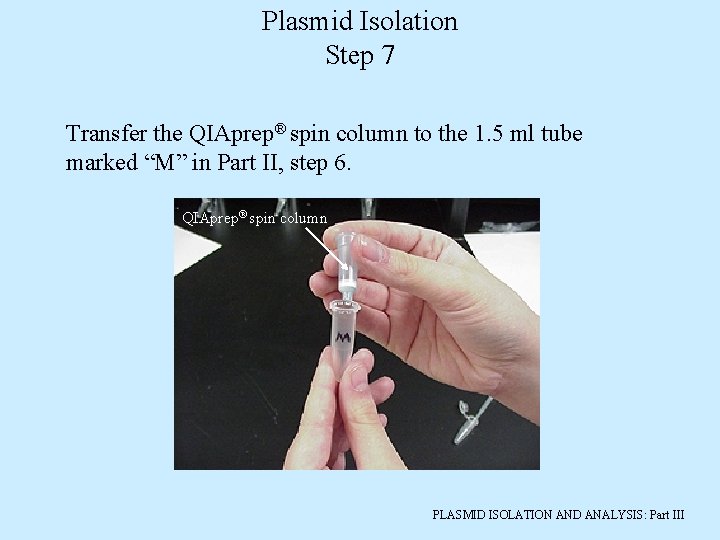 Plasmid Isolation Step 7 Transfer the QIAprep® spin column to the 1. 5 ml