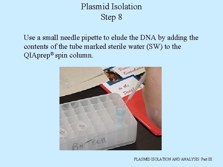 Plasmid Isolation Step 8 Use a small needle pipette to elude the DNA by