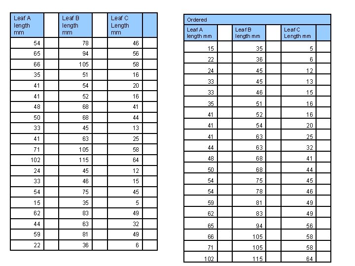 Leaf A length mm Leaf B length mm Leaf C Length mm Ordered Leaf