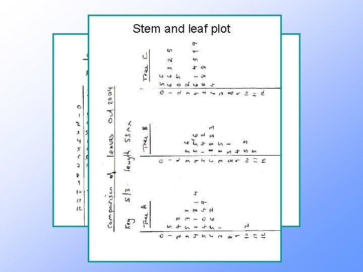 Stem and leaf plot 