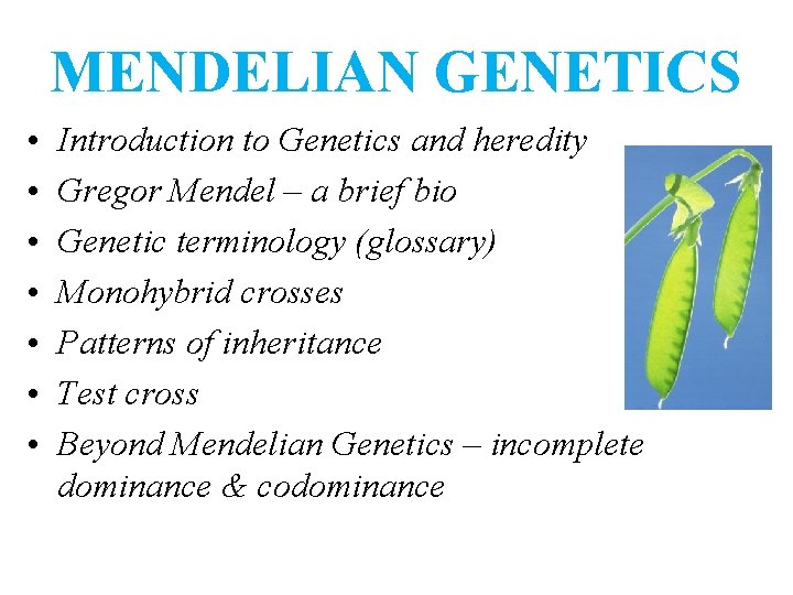 MENDELIAN GENETICS • • Introduction to Genetics and heredity Gregor Mendel – a brief