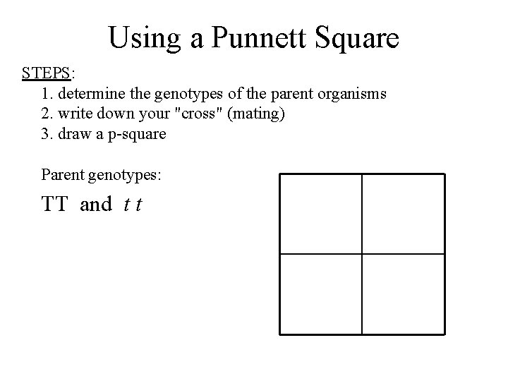 Using a Punnett Square STEPS: 1. determine the genotypes of the parent organisms 2.
