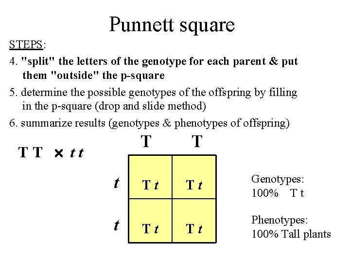 Punnett square STEPS: 4. "split" the letters of the genotype for each parent &