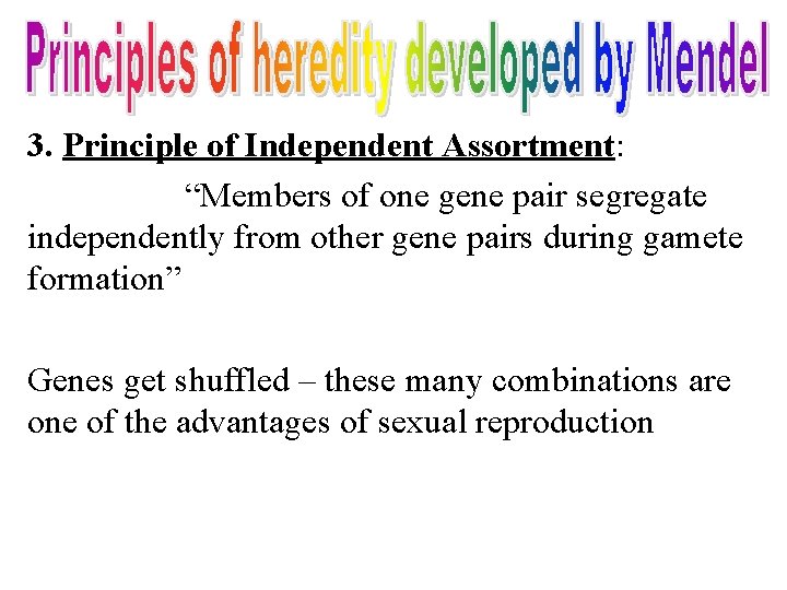 3. Principle of Independent Assortment: “Members of one gene pair segregate independently from other