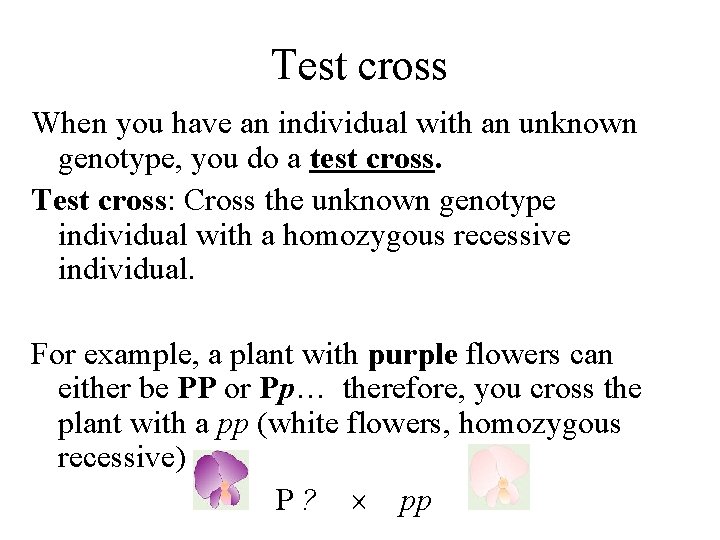 Test cross When you have an individual with an unknown genotype, you do a