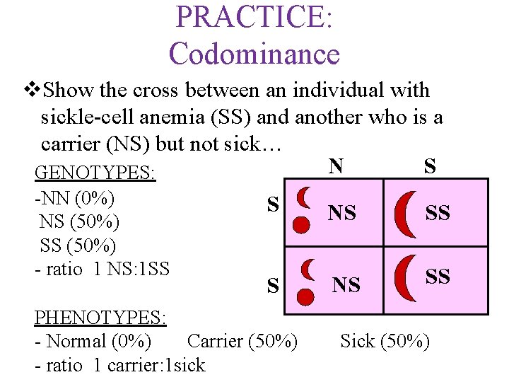 PRACTICE: Codominance v. Show the cross between an individual with sickle-cell anemia (SS) and