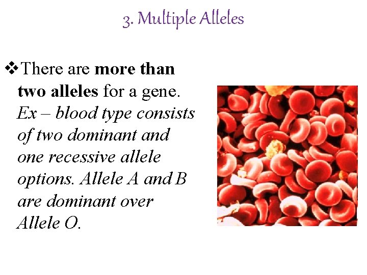 3. Multiple Alleles v. There are more than two alleles for a gene. Ex