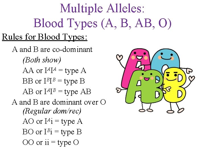 Multiple Alleles: Blood Types (A, B, AB, O) Rules for Blood Types: A and