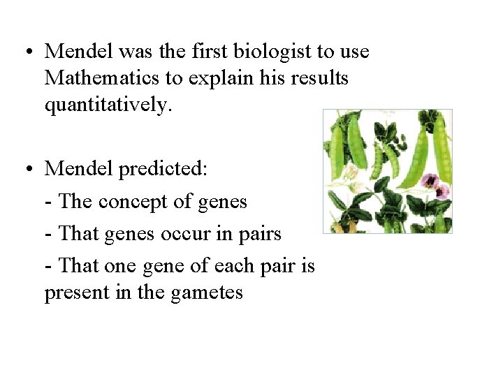  • Mendel was the first biologist to use Mathematics to explain his results