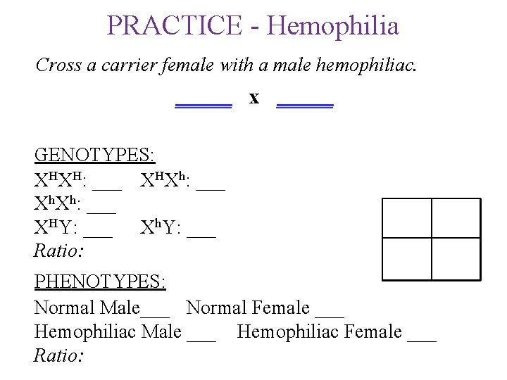 PRACTICE - Hemophilia Cross a carrier female with a male hemophiliac. _____ x _____