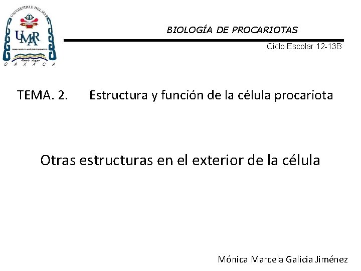 BIOLOGÍA DE PROCARIOTAS Ciclo Escolar 12 -13 B TEMA. 2. Estructura y función de