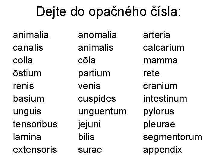 Dejte do opačného čísla: animalia canalis colla ōstium renis basium unguis tensoribus lamina extensoris