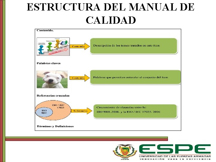 ESTRUCTURA DEL MANUAL DE CALIDAD 