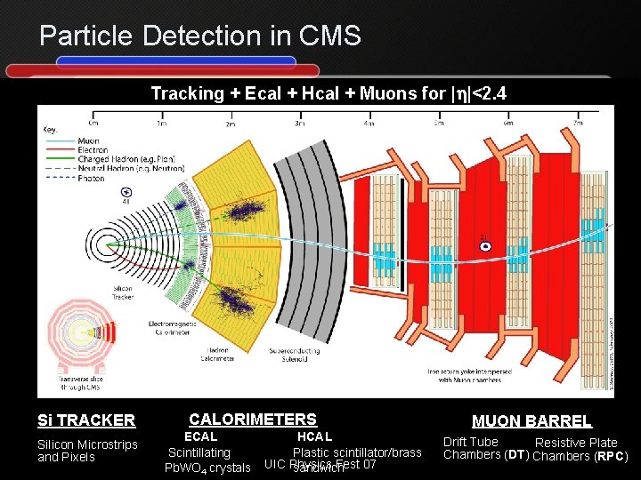 Particle Detection in CMS Tracking + Ecal + Hcal + Muons for | |<2.