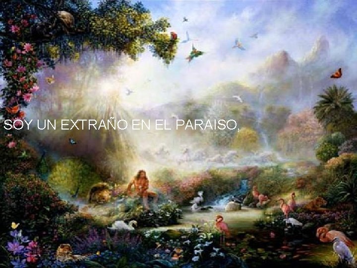 SOY UN EXTRAÑO EN EL PARAISO, 
