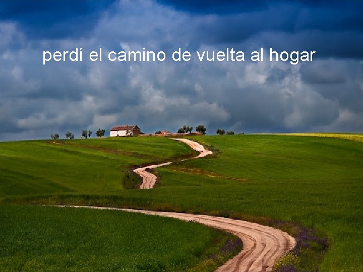 perdí el camino de vuelta al hogar 