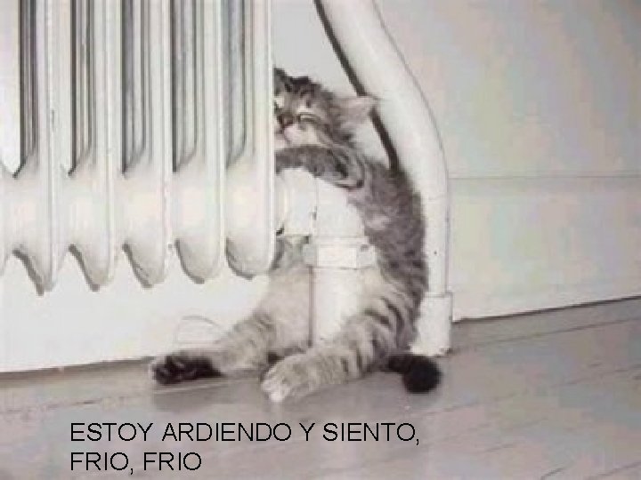 ESTOY ARDIENDO Y SIENTO, FRIO 