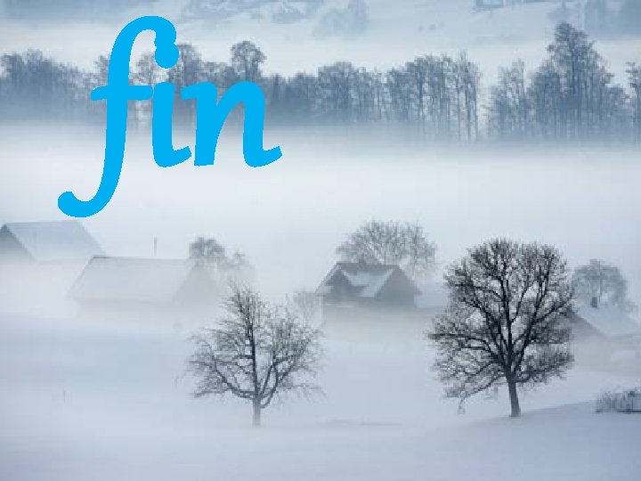 fin 