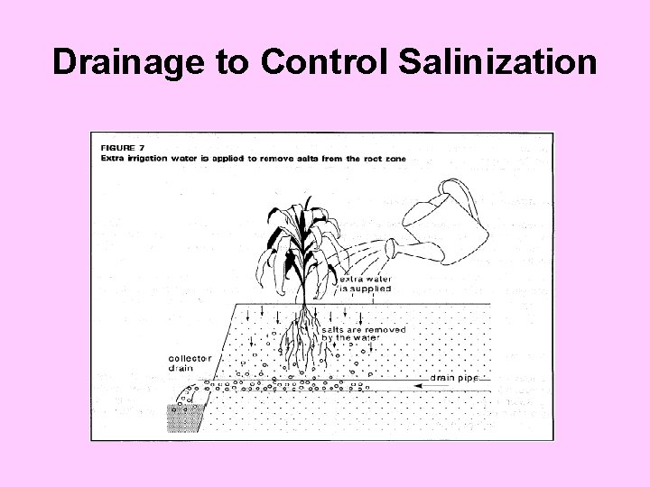 Drainage to Control Salinization 