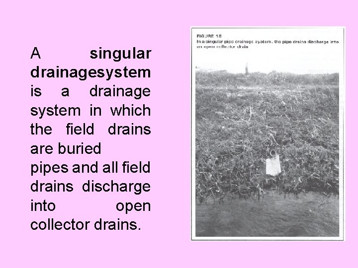 A singular drainagesystem is a drainage system in which the field drains are buried