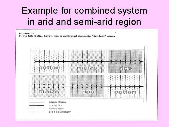 Example for combined system in arid and semi-arid region 