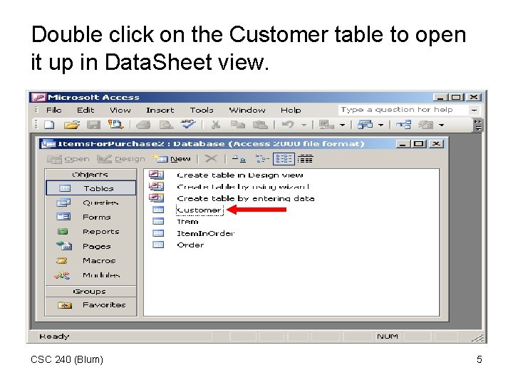 Double click on the Customer table to open it up in Data. Sheet view.