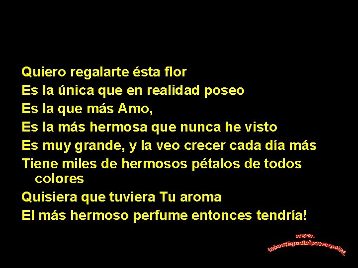 Quiero regalarte ésta flor Es la única que en realidad poseo Es la que