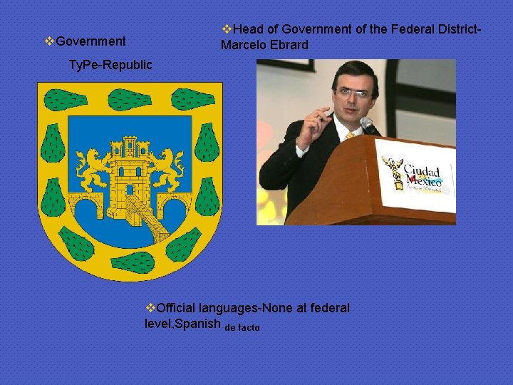 v. Head of Government of the Federal District. Marcelo Ebrard v. Government Ty. Pe-Republic