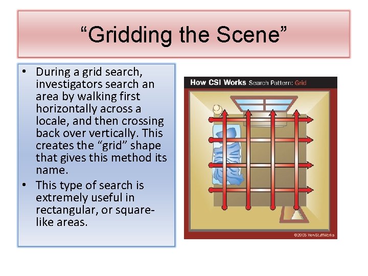 “Gridding the Scene” • During a grid search, investigators search an area by walking