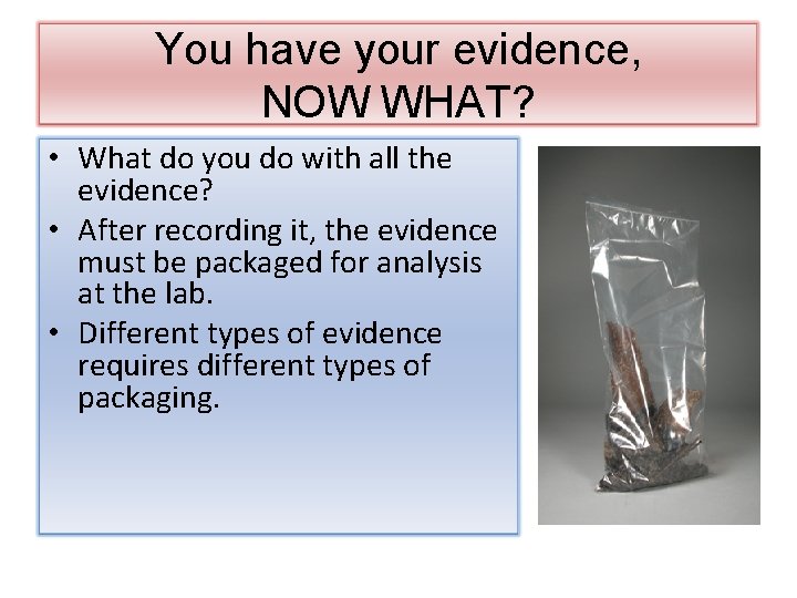 You have your evidence, NOW WHAT? • What do you do with all the