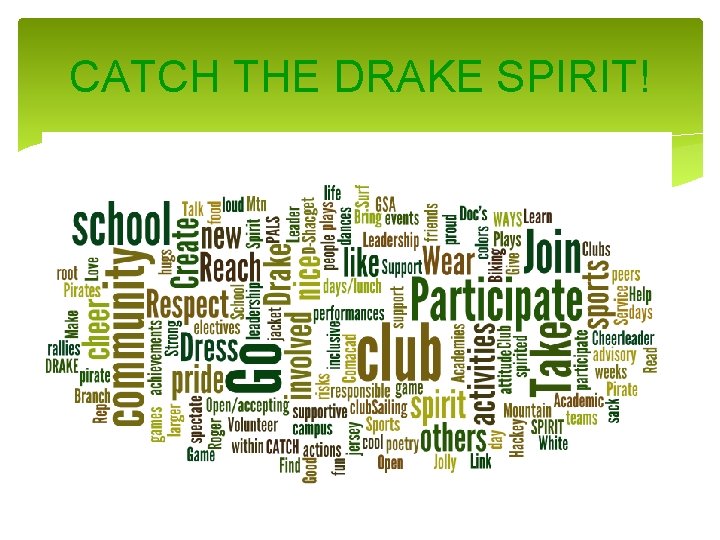CATCH THE DRAKE SPIRIT! 