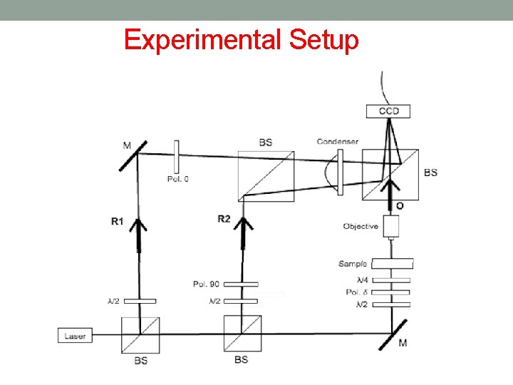 Experimental Setup 