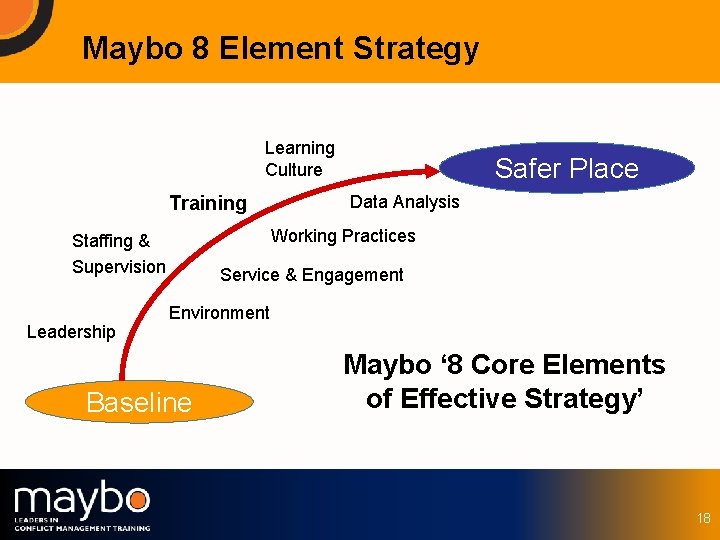 Maybo 8 Element Strategy Learning Culture Training Data Analysis Working Practices Staffing & Supervision