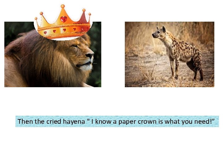 Then the cried hayena “ I know a paper crown is what you need!”