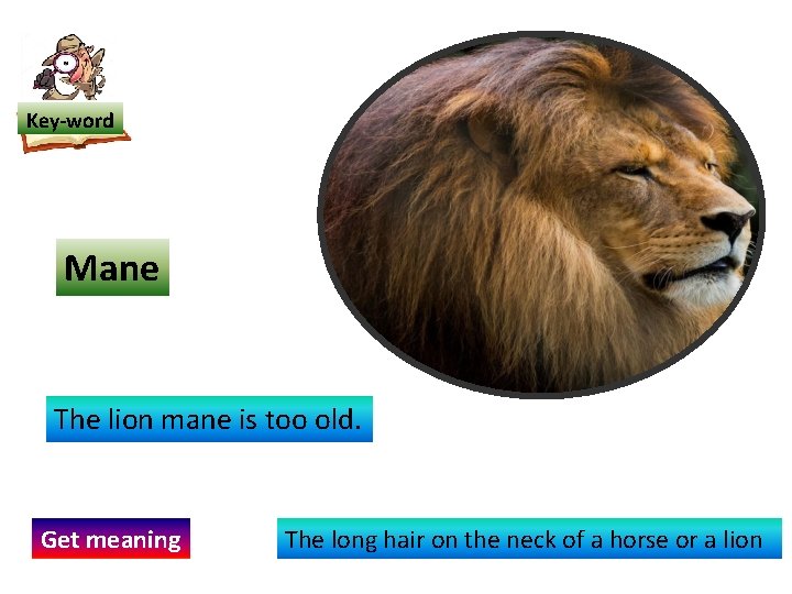 Key-word Mane The lion mane is too old. Get meaning The long hair on