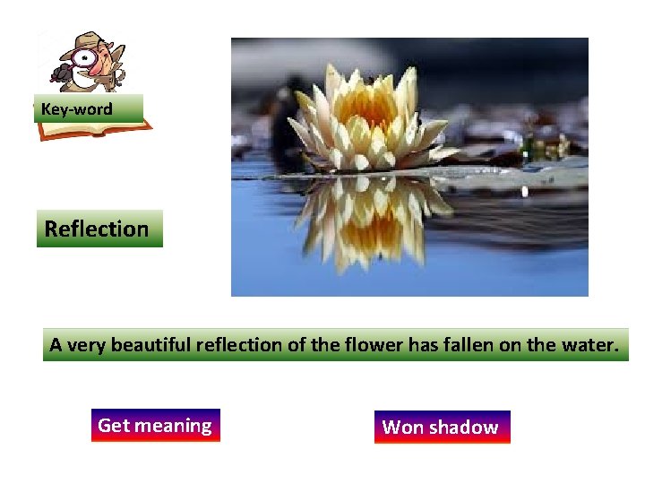 Key-word Reflection A very beautiful reflection of the flower has fallen on the water.